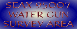 SEAX 95007 Water Gun Survey Areas
