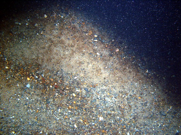 Gravel with sand and scattered rocks, ripples (5-10 cm high), scattered shells and shell debris.