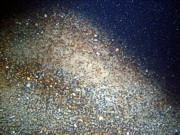 Gravel with sand and scattered rocks, ripples (5-10 cm high), scattered shells and shell debris.
