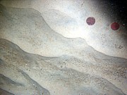 Sand, fine grained, small current ripples, numerous sand dollars, some shells and shell debris, skate, moon snail casings.