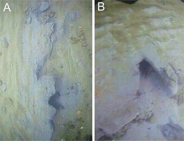 Figure 26: Video frames showing lobster burrows in the exposed muddy glaciolacustrine sediments of the Eastham Plain.