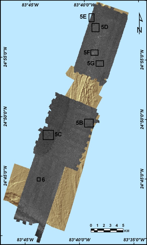 Figure 4 - sidescan sonar imagery
