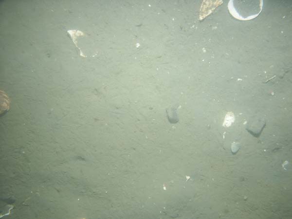 Image of sea bottom photo.