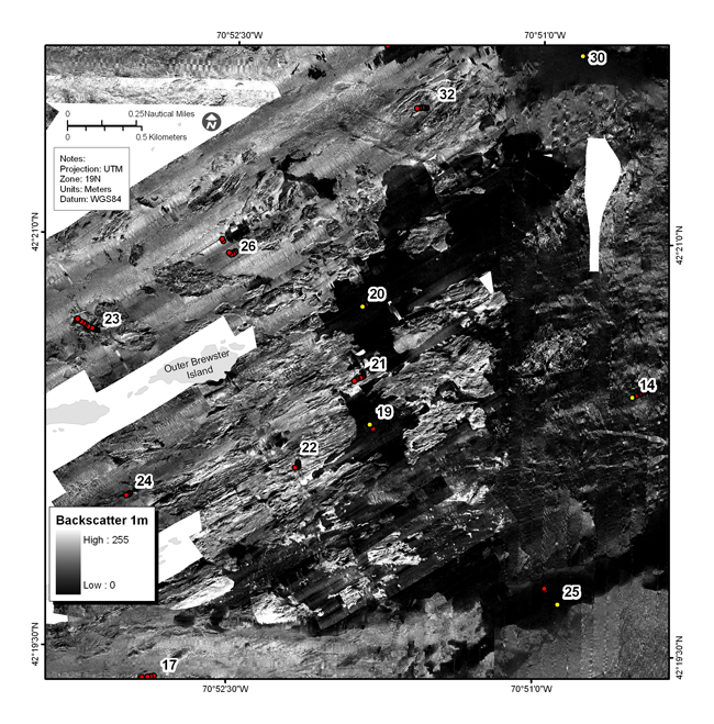 Figure 4.16b. Backscatter intensity from sidescan sonar showing outcropping ledges east of the Brewster Islands.