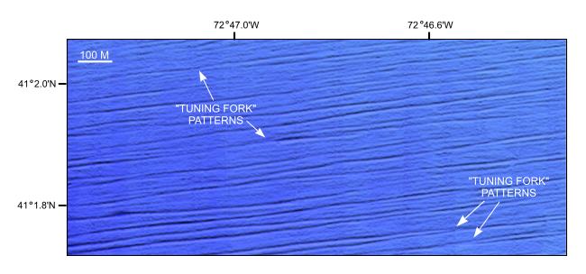 Figure 9. Detailed view of sedimentary furrows from the southwestern corner of NOAA survey H11255.  
