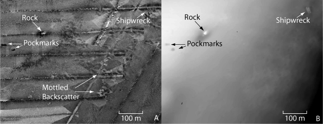 Figure 4. Image shows sidescan sonar image of backscatter, pockmarks,  rock and bathymetry image of the same area showing irregular bottom.  