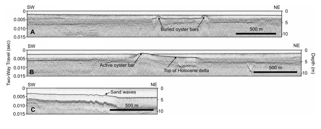 Figure 15. Seismic profiles showing oyster mounds that accumulated on an older, sandy-delta surface, and were subsequently buried by younger mud, an oyster bar that accumulated on a sandy-delta surface and remains exposed at the sea floor, and sand waves in the eastern part of St. George Sound. 