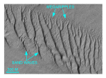 Figure 23. Detailed planar view of the multibeam DTM showing transverse sand waves and megaripples southeast of Valiant Rock. 