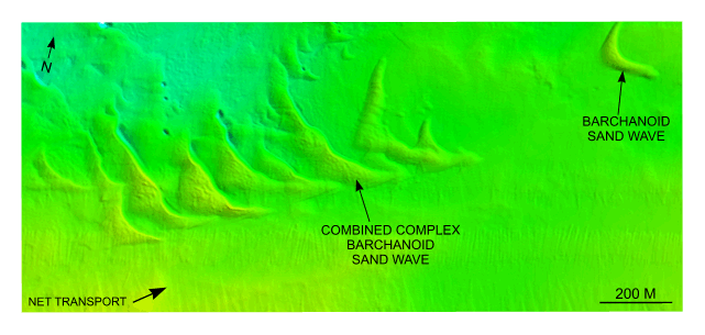 Figure 29. Detailed planar view of the barchanoid sand waves near the northeastern end of Great Round Shoal Channel from the DTM produced during NOAA survey H11079.