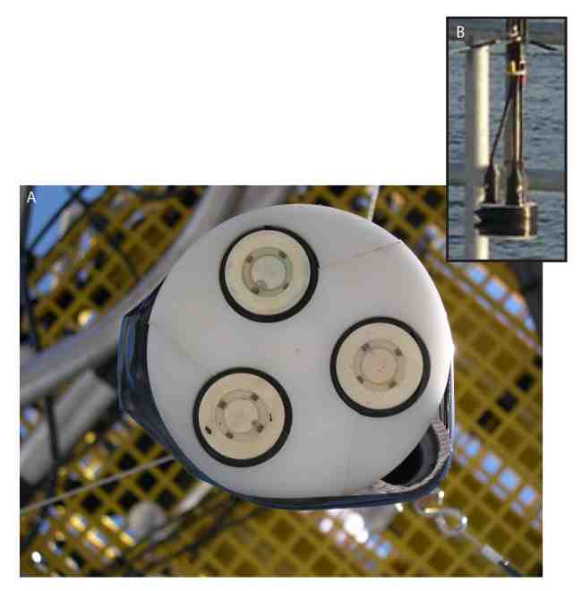 Figure 23.  End view of the acoustic transducers on an acoustic backscatter sensor (ABS), each of different frequency. 