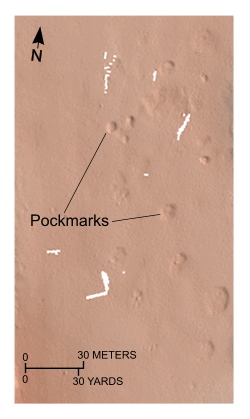 Figure 23. Detailed planar view of the depressions interpreted to be pockmarks from the digital terrain model produced during National Oceanic and Atmospheric Administration survey H11077 of Woods Hole, Massachusetts. Pockmark field is located at the northern end of Little Harbor; location of view is shown in figure 19.