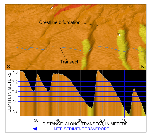 Figure 46. Detailed perspective view of the bathymetry looking west across the sand-wave field in the channel west of Great Ledge from the digital terrain model produced during National Oceanic and Atmospheric Administration survey H11077 of Woods Hole, Massachusetts. Line shows location of transect; cross section shows scaled bathymetry and that sand-wave asymmetry indicates net southward transport along the eastern side of this sand-wave field. Location of view is shown in figure 19.