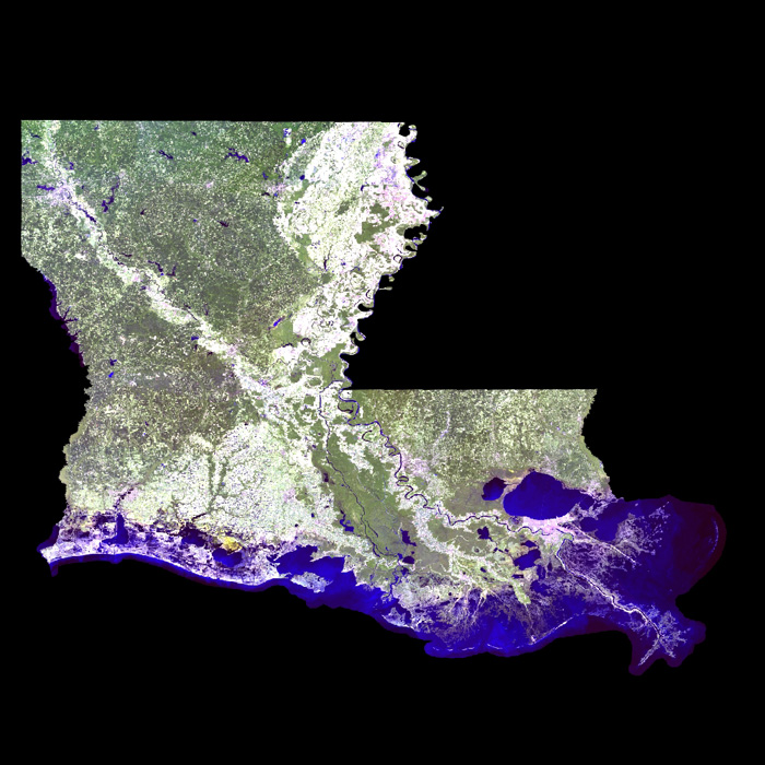 2005 Landsat Thematic Mapper Satellite Image of Louisiana, published by LOSCO and displayed within ArcGIS Map Document. 