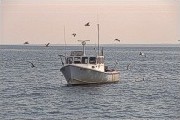 Lobster boat pulling traps in Long Island Sound.