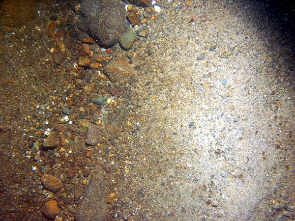 Boulders, rippled sandy patches, sand concentrated on ripple crests, gravel concentrated in troughs, outcrop and loose clasts of cohesive muddy sediments (possible glaciolacustrine strata), skate, crabs, lobsters.