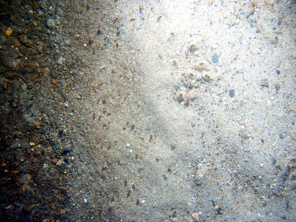 Boulders, rippled sandy patches, sand concentrated on ripple crests, gravel concentrated in troughs, outcrop and loose clasts of cohesive muddy sediments (possible glaciolacustrine strata), skate, crabs, lobsters.