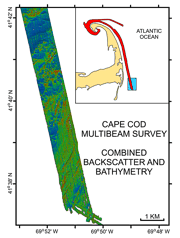 Figure 31: Pseudo-colored map of the sea floor off Chatham showing combined bathymetry and backscatter intensity.