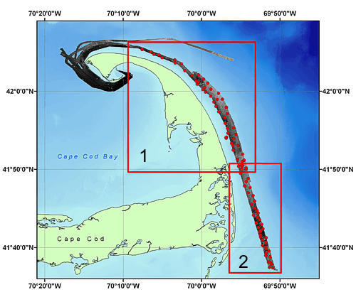 Image map showing location of bottom photograph stations overlaid on the Cape Cod multibeam backscatter data.