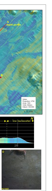 Fig. 4.8. Maps of seafloor topography  and backscatter intensity  in the eastern part of the study area. 