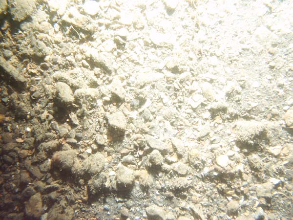 Image of sediment. 
