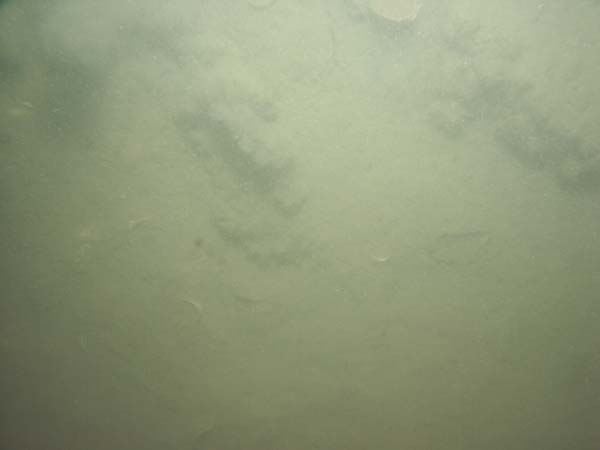 Image of sea bottom photo.