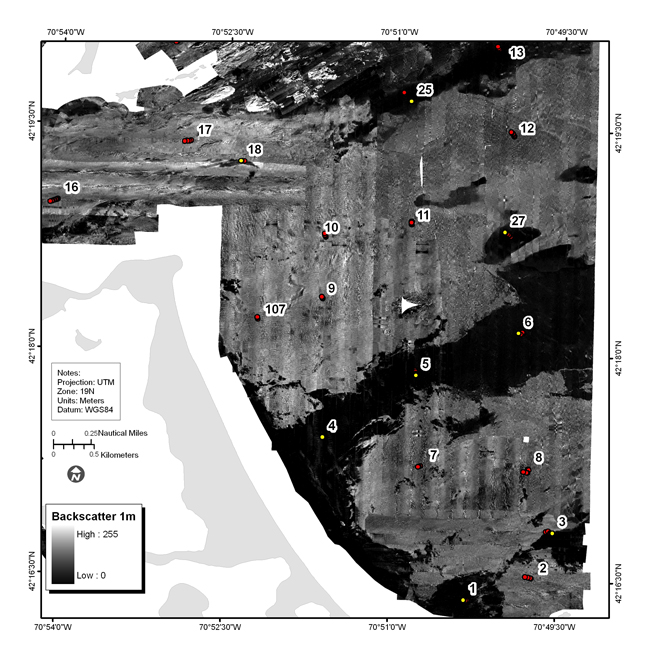 Figure 4.17b.  Backscatter intensity from sidescan sonar of area east of Nantasket Beach.
