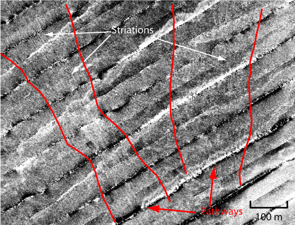 Figure 8. Sidescan sonar image of erosional pathways in West Passage.  
