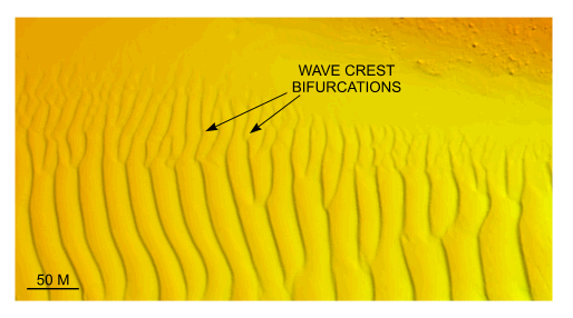 Figure 33. Detailed planar view of the bedforms south of Pasque Island from the DTM produced during NOAA survey H11076.
