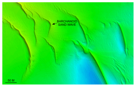 Figure 34. Detailed planar view of the barchanoid sand waves south of Pasque Island from the DTM produced during NOAA survey H11076.    