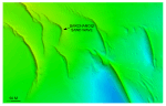 Figure 34. Detailed planar view of the barchanoid sand waves south of Pasque Island from the DTM produced during NOAA survey H11076.
