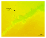 Figure 40.  Detailed planar view of an anchor scar and trench north of Nashawena Island from the DTM produced during NOAA survey H11076.