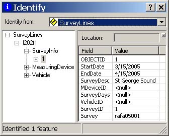 Figure 18. An example of the information provided in the identify dialog box.