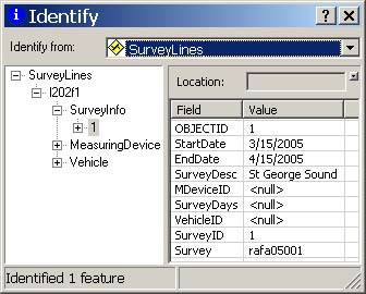 Figure 18. An example of the information provided in the identify dialog box. 