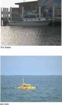 Figure 2.  Photographs of the survey platforms used in this study.	 