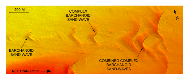 Figure 28.</strong> Detailed planar view of the barchanoid sand waves near the western end of Great Round Shoal Channel from the DTM produced during NOAA survey H11079. 