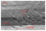 Figure 30.  Detailed planar view of the sidescan-sonar mosaic produced during NOAA survey H11079 showing curved alternating bands of high and low backscatter pattern indicative of individual and complex barchanoid sand waves.  
