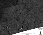 Figure 13. Detailed area of sidescan-sonar image showing low-backscatter targets.