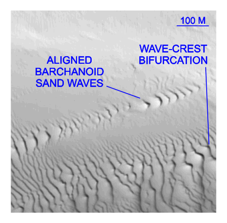Figure 26. Detailed planar view of multibeam bathymetry from survey H11361 showing asymmetrical transverse and barchanoid sand waves suggesting net westward transport