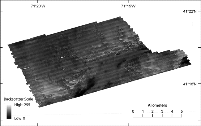 Figure 9. Sidescan-sonar image of the study area. Dark tones represent lower backscatter and generally finer grained sediment; light tones represent higher backscatter and generally coarser grained sediment. 