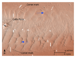 Figure 25. Detailed planar view of the transverse sand waves east of Great Ledge from the digital terrain model produced during National Oceanic and Atmospheric Administration survey H11077. 