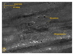 Figure 26. Detailed planar view southeast of Great Ledge of the sidescan-sonar mosaic produced during National Oceanic and Atmospheric Administration survey H11077 of Woods Hole, Massachusetts.