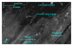 Figure 27. Detailed planar view from the Inner Harbor of the sidescan-sonar mosaic produced during National Oceanic and Atmospheric Administration survey H11077 of Woods Hole, Massachusetts, showing areas of relatively low backscatter and moderate backscatter. Note presence of anchor drag marks and high-backscatter objects interpreted to be rocks. Location of view is shown in figure 19. 