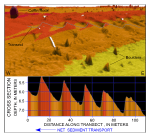 Figure 43. Detailed perspective view of the bathymetry looking north across the sand-wave field east of Great Ledge from the digital terrain model produced during National Oceanic and Atmospheric Administration survey H11077 of Woods Hole, Massachusetts.